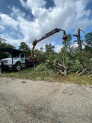 Land Clearing